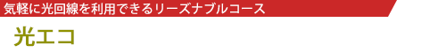 光エコ／気軽に光回線を利用できるリーズナブルコース